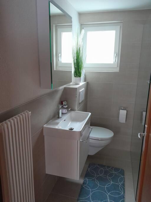 2 1/2 Zimmer Ferienwohnung Meiringen Eksteriør bilde